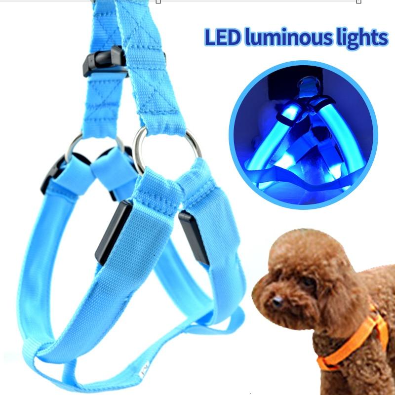 #3 Best Seller-LED Glowing Safety Collars