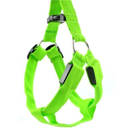 #3 Best Seller-LED Glowing Safety Collars