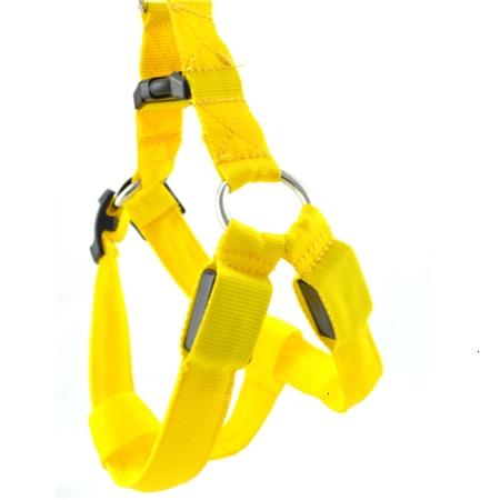 #3 Best Seller-LED Glowing Safety Collars