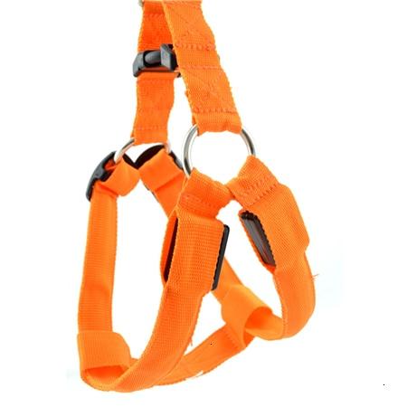 #3 Best Seller-LED Glowing Safety Collars